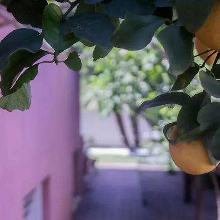 Nepi Oda ve Kahvaltı Cagliari
